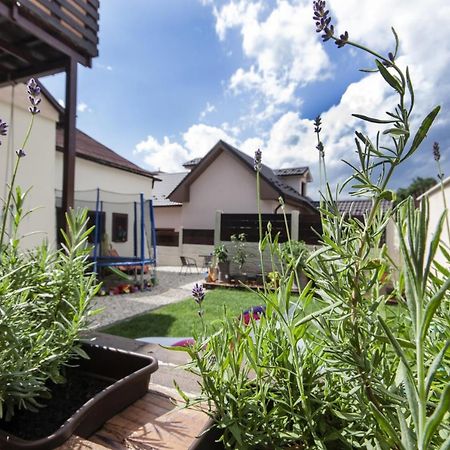 Levial Rooms Veľky Slavkov Bagian luar foto